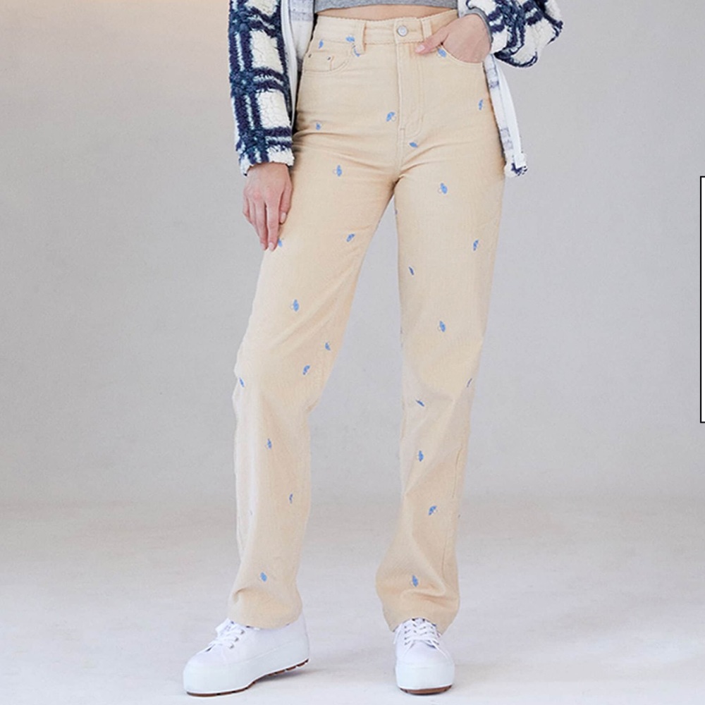 PacSun Mirco Embroidered Mushroom Boyfriend Jeans
